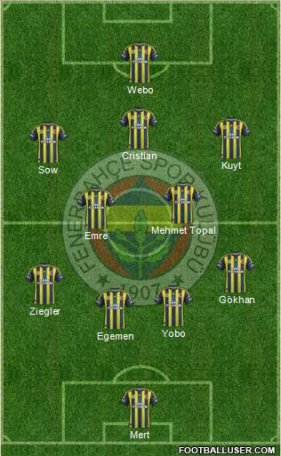Fenerbahçe SK Formation 2013