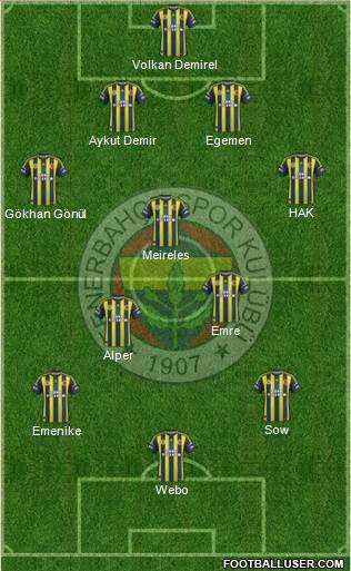 Fenerbahçe SK Formation 2013