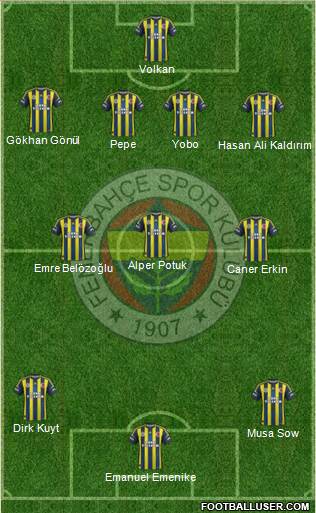 Fenerbahçe SK Formation 2013