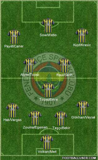 Fenerbahçe SK Formation 2013