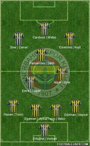 Fenerbahçe SK Formation 2013