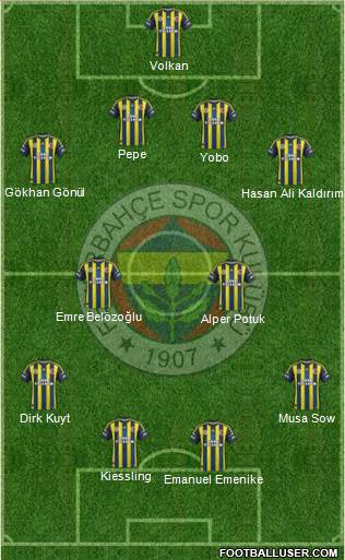 Fenerbahçe SK Formation 2013