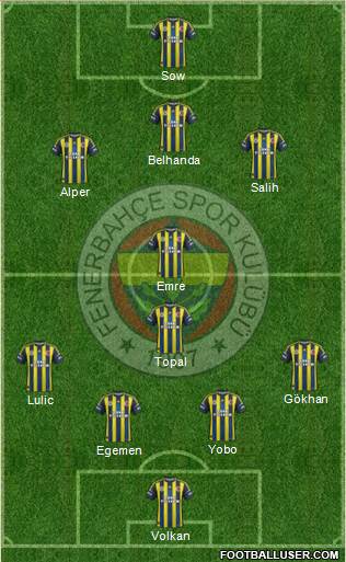 Fenerbahçe SK Formation 2013