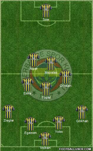 Fenerbahçe SK Formation 2013