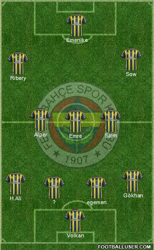 Fenerbahçe SK Formation 2013