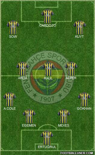 Fenerbahçe SK Formation 2013