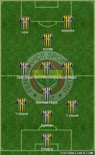 Fenerbahçe SK Formation 2013