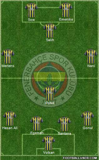 Fenerbahçe SK Formation 2013