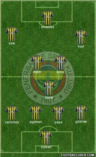 Fenerbahçe SK Formation 2013