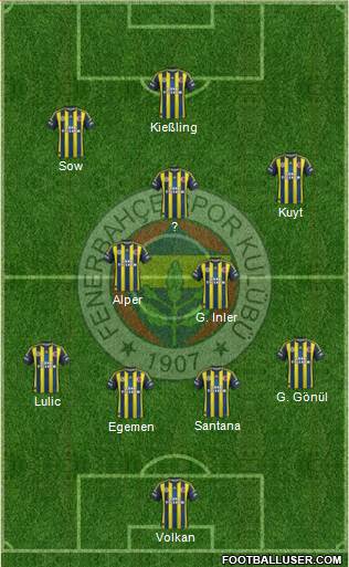 Fenerbahçe SK Formation 2013