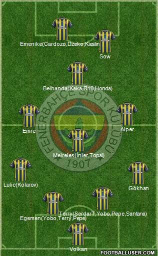 Fenerbahçe SK Formation 2013