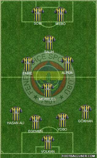 Fenerbahçe SK Formation 2013