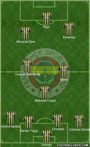 Fenerbahçe SK Formation 2013