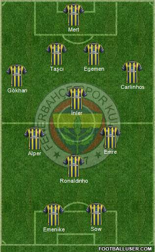 Fenerbahçe SK Formation 2013