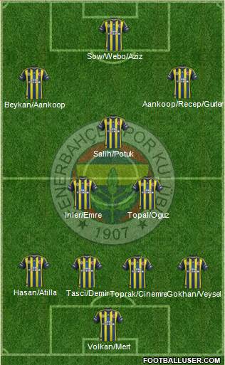 Fenerbahçe SK Formation 2013