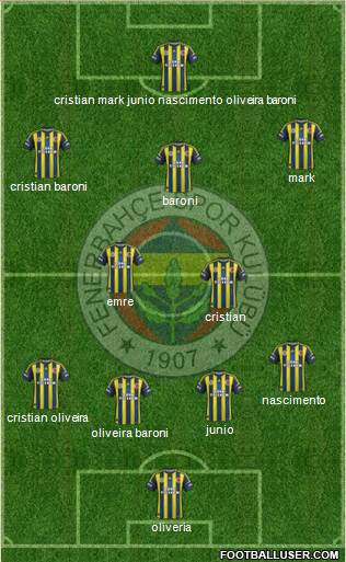 Fenerbahçe SK Formation 2013