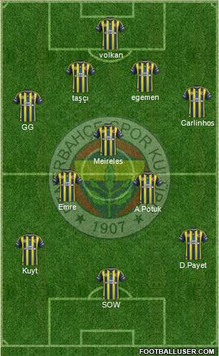 Fenerbahçe SK Formation 2013