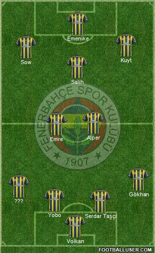 Fenerbahçe SK Formation 2013