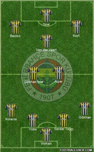 Fenerbahçe SK Formation 2013
