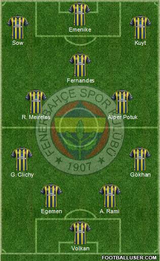 Fenerbahçe SK Formation 2013