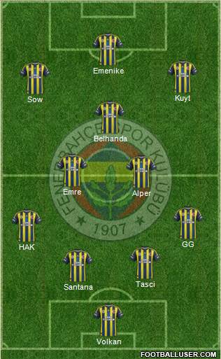 Fenerbahçe SK Formation 2013