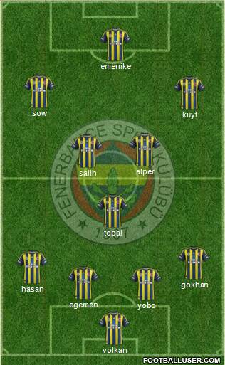 Fenerbahçe SK Formation 2013