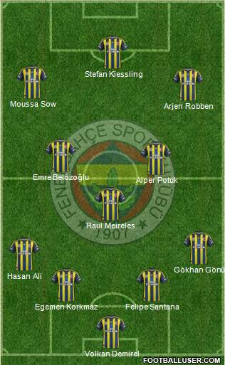 Fenerbahçe SK Formation 2013