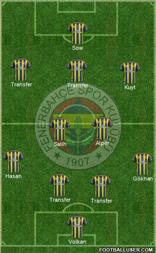Fenerbahçe SK Formation 2013