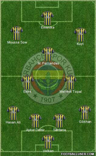 Fenerbahçe SK Formation 2013