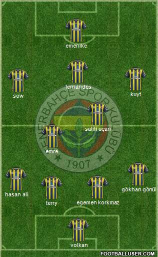Fenerbahçe SK Formation 2013