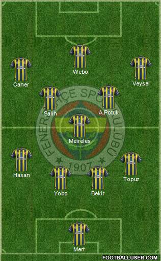 Fenerbahçe SK Formation 2013