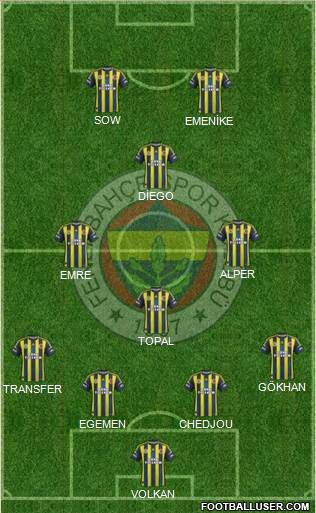 Fenerbahçe SK Formation 2013