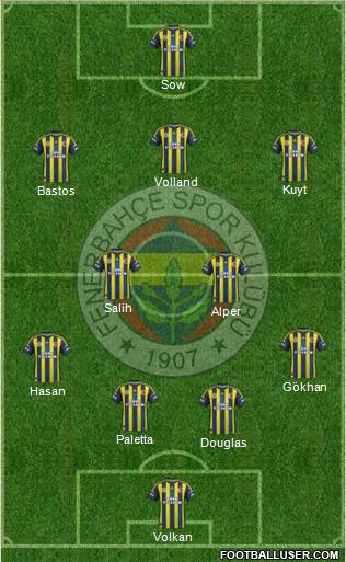 Fenerbahçe SK Formation 2013