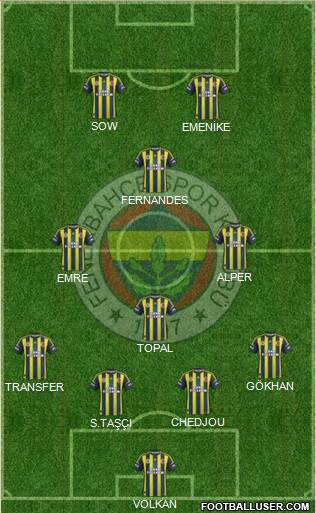 Fenerbahçe SK Formation 2013