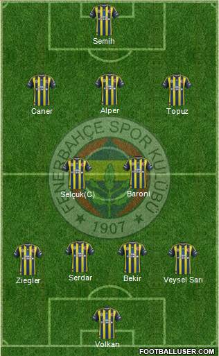 Fenerbahçe SK Formation 2013