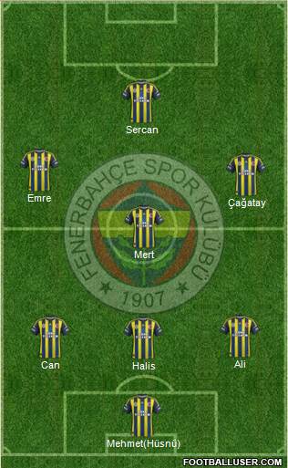 Fenerbahçe SK Formation 2013