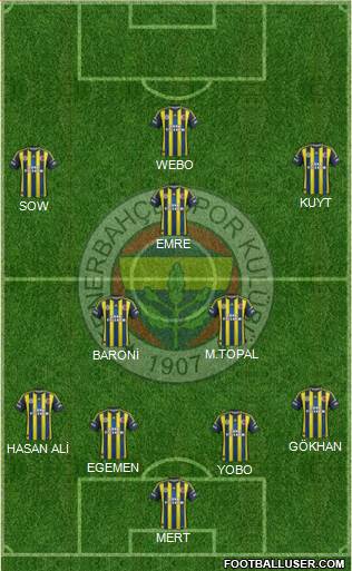 Fenerbahçe SK Formation 2013