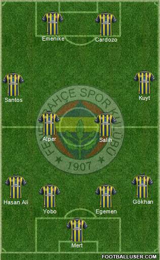 Fenerbahçe SK Formation 2013
