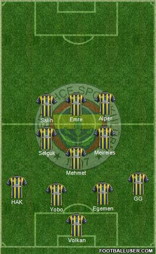 Fenerbahçe SK Formation 2013