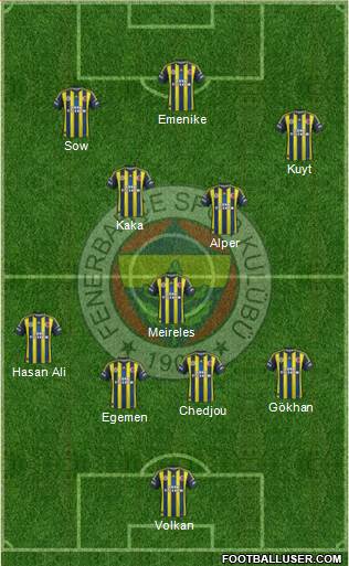 Fenerbahçe SK Formation 2013