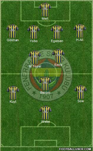 Fenerbahçe SK Formation 2013