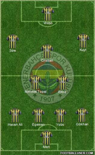 Fenerbahçe SK Formation 2013