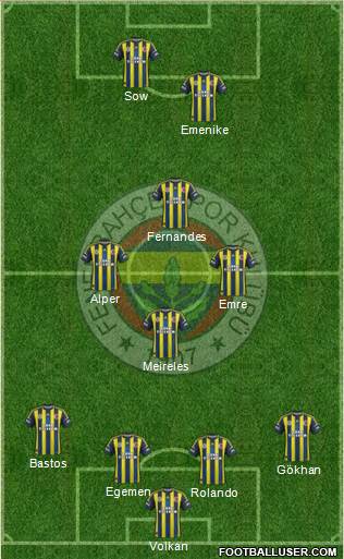 Fenerbahçe SK Formation 2013