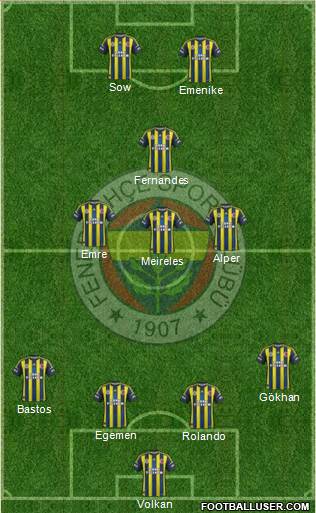 Fenerbahçe SK Formation 2013