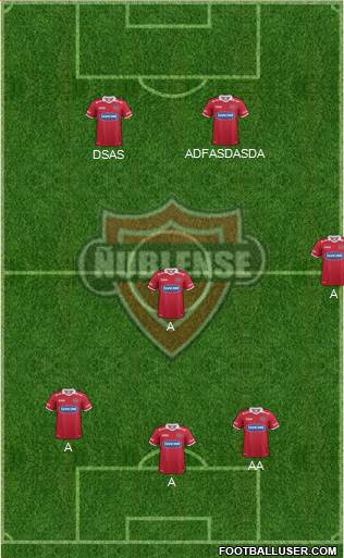 CD Ñublense S.A.D.P. Formation 2013