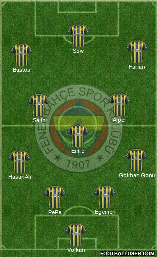 Fenerbahçe SK Formation 2013