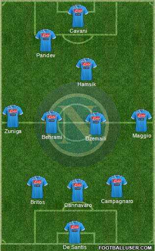 Napoli Formation 2013