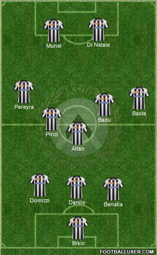 Udinese Formation 2013