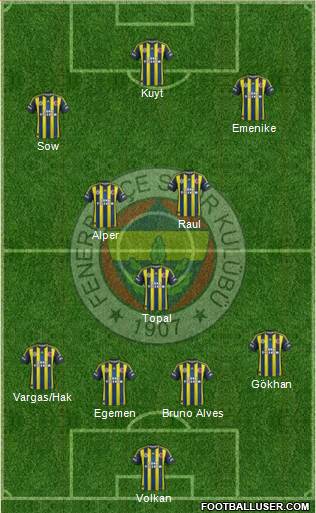 Fenerbahçe SK Formation 2013