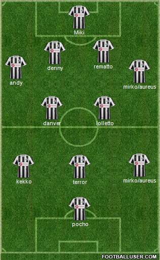 Newcastle United Formation 2013